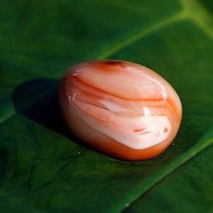 🔮✨Ethically Sourced Carnelian Palm Stone✨🔮